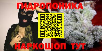 винт Гагарин